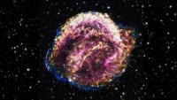 Gardening the Moon's Cosmic Archives