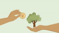 Japan opens carbon credit opportunity for Indian green projects