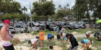 Volunteers plant first trees for Kailua Beach Park dune restoration