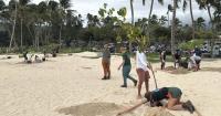 Kailua Beach Park gets 11 native trees in dune restoration push