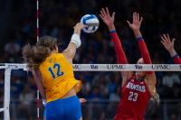 We’re not in Kansas anymore: The Panthers send the Jayhawks packing in 4