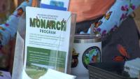 Oklahoma Monarch Society launches plan to protect monarch butterflies and pollinators