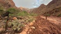 Grand Canyon flood forces evacuations and ﻿knocks out park water pipeline
