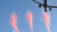 All Blacks v Springboks: World media reacts to ‘dangerous’ flyover before Cape Town test