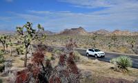 Twentynine Palms Travel Guide: New Hotels, Shops And Joshua Tree Access