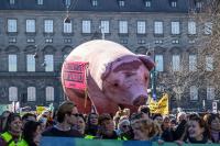 Cleaner water push tests Denmark’s pact with farmers