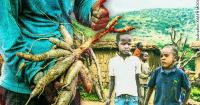 ADEKEYE ADEBAJO | Farewell to a Pan-African farmer-technocrat
