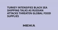 Turkey Intensifies Black Sea Shipping Talks as Russian Attacks Threaten Global Food Supplies