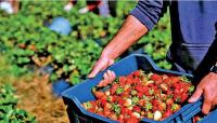 Farm incomes in rich countries could be 20 times higher than South Asia, sub-Saharan Africa by 2035