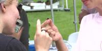 Michigan State University’s Horticulture Gardens host 13th annual Bee-Palooza