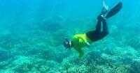 Australia's coral reefs retreat as heatwaves intensify