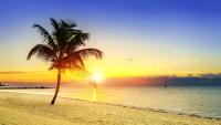 Key West Tops List of Tennessee’s Most-Searched Vacation Destinations
