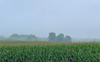 Michigan Defends Air Quality Monitoring as Advocates Push for More Accuracy