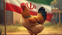 Iran’s new food security milestone: Chicken self-sufficiency