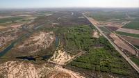 Lack of bankable projects is holding back land restoration investment