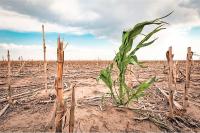 Research offers solutions to Tanzania’s land crisis
