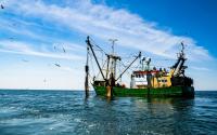 Sixteen Nations Adopt Mombasa Declaration on Fisheries Transparency to Combat Illegal Fishing