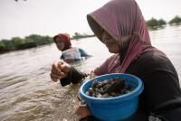 Climate risks threaten more than 380 coastal World Heritage Sites