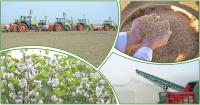 In Turkmenistan, the dates for the start of the main agricultural campaigns of autumn have been approved