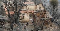 Algeria seeks introduction of death penalty for arson after fatal wildfires