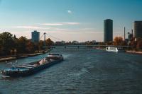 Grain Prices Rise as Black Sea Disruptions and European Weather Tighten Supply Routes