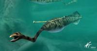 This Week In Illinois History: The Tully Monster (August 31, 1989)
