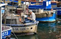 EU approved EUR 285 million in Italian fuel aid for fishing, agriculture sectors