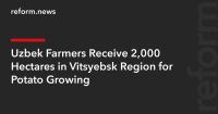 Uzbek Farmers Receive 2,000 Hectares in Vitsyebsk Region for Potato Growing