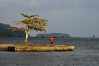 World leaders need to see rising oceans in Pacific: UN official