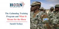 The Galmudug Training Program and What It Means for the Horn