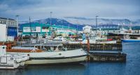Iceland rejects return to EU membership talks