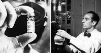 Five things to know about tuberculosis right now