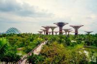 The Singapore strategies
