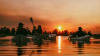 It's time to recognize nature as a cultural asset in Memphis