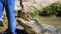 Florida News That Impacts You – August 31st, 2026