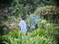 African Traditional Medicine Day 2026: from research to reach, advancing health for all