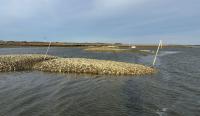 DNREC Seeking Community Water Project Proposals for Water Quality Improvement Grant Program
