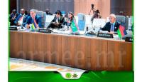 Defense Minister Represents President of Republic at AU Extraordinary Summit