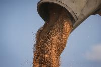 As Record-low Wheat Crop Boosts Prices, Montana Farmers Barely Break Even