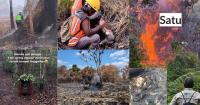 Indonesia Wildfires Force Orangutans And Other Wildlife From Their Forest Homes Across Kalimantan