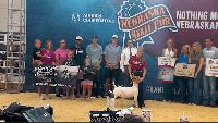 "Just keep fighting for your dreams": annual 4-H Final Drive held at Nebraska State Fair