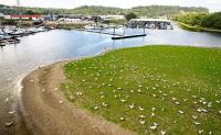 Low Mississippi River levels hurt business at local marinas