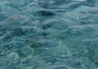 Onpeco urges stronger measures to guarantee drinking water amid drought
