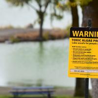 Health district reports possible toxic algae bloom at Crescent Bar