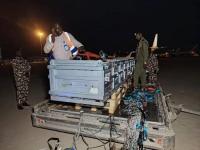 Nile crocodile returned from Jordan to Sudan