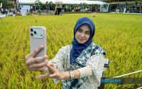 MAHA 2026 Laman Padi Sets Malaysia Book Of Records Mark For Paddy Art