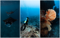 Royal Island named Best Dive Resort at TTM Awards 2026