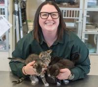 Business Notes: New leader at Gloucester-Mathews Humane Society; $750K awarded for Norfolk rail project
