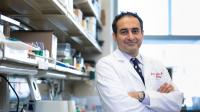 UCSF-Led Group Receives $9 Million for Inflammatory Heart Disease Research