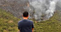 Algeria moves to restore death penalty for deliberate forest fires